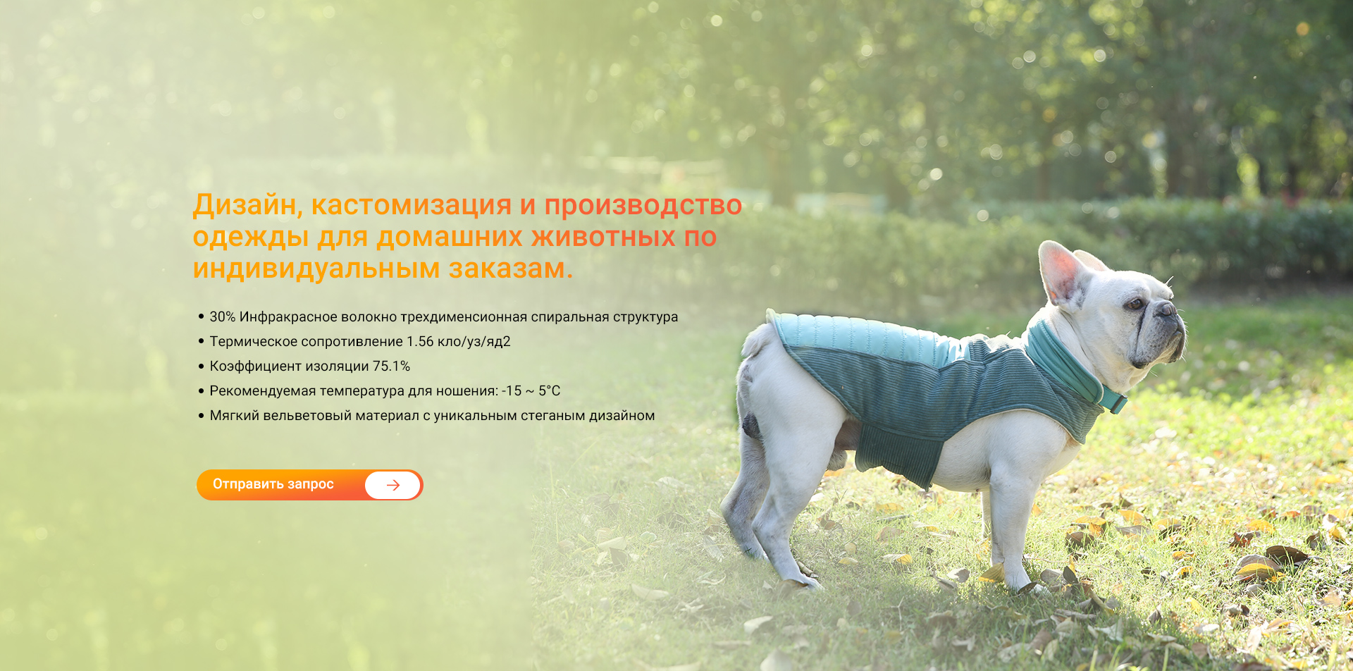 Собака