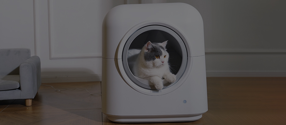 cat-banner