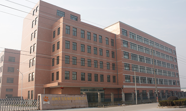 2006