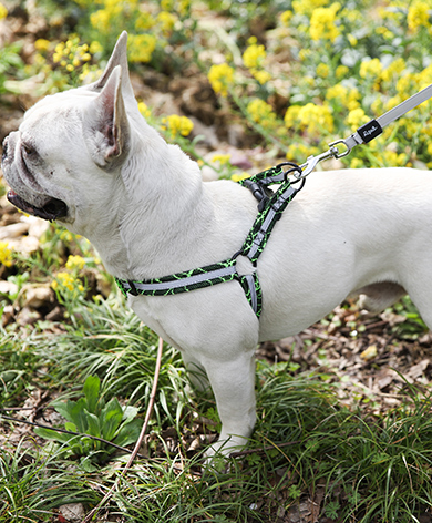 Нейлоновый светоотражающий жилет для собак Step In Harness