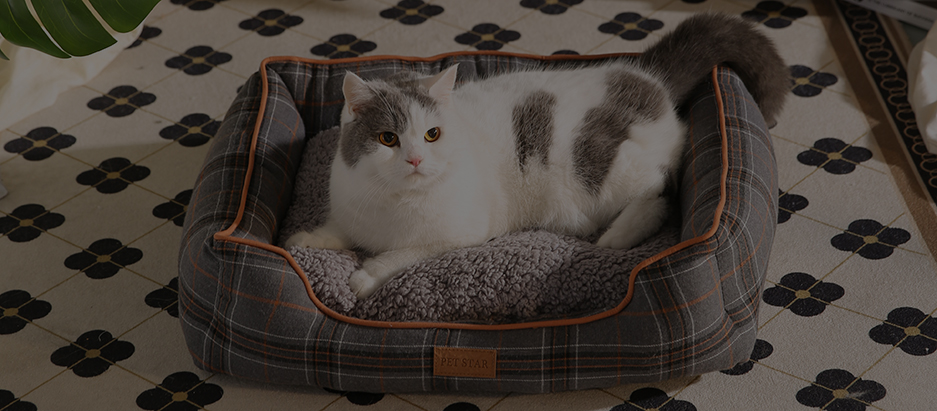cat-banner-4