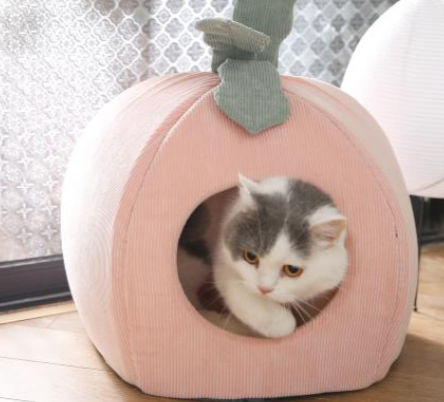 Полное руководство по оптовой покупке лежанок для домашних животных