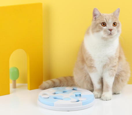 Будущее игрушек для домашних животных: тенденции 2026 года с инновациями OEM-производителей от Petsone