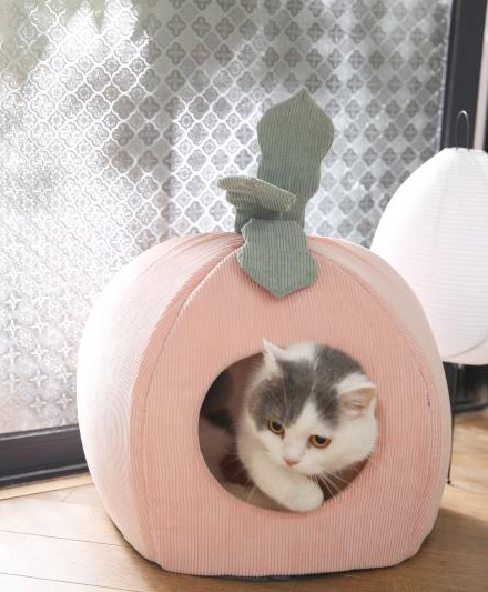 Новая лежанка для кошек в форме овощей и фруктов