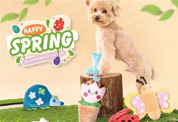 Индивидуальные товары для домашних животных: полное руководство