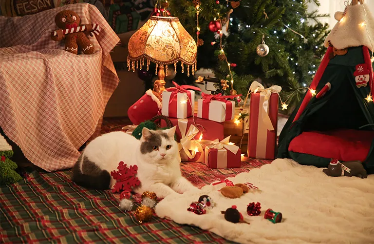 Рождественские подарки для кошек 2025: новая праздничная коллекция Petsone
