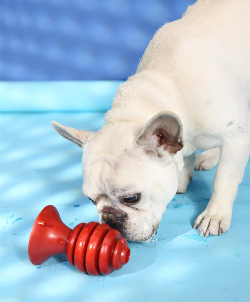 Игрушка для домашних животных в виде палочки с медом