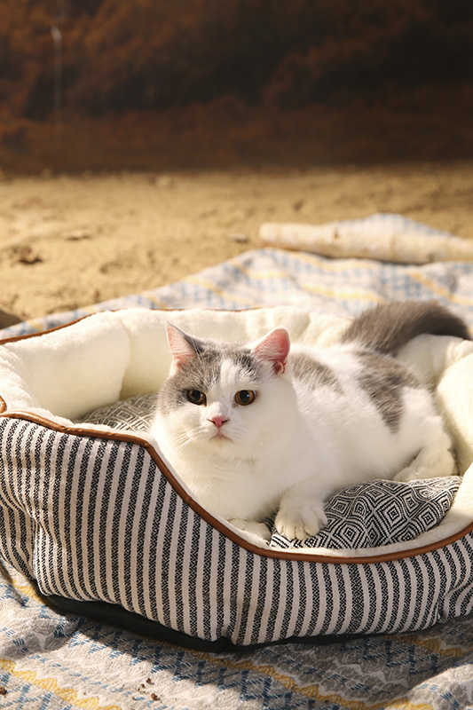 Классическая и популярная многофункциональная лежанка для домашних животных