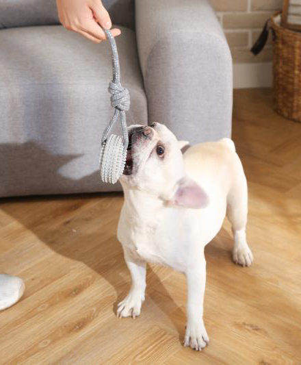 Многофункциональная интерактивная игрушка для домашних животных