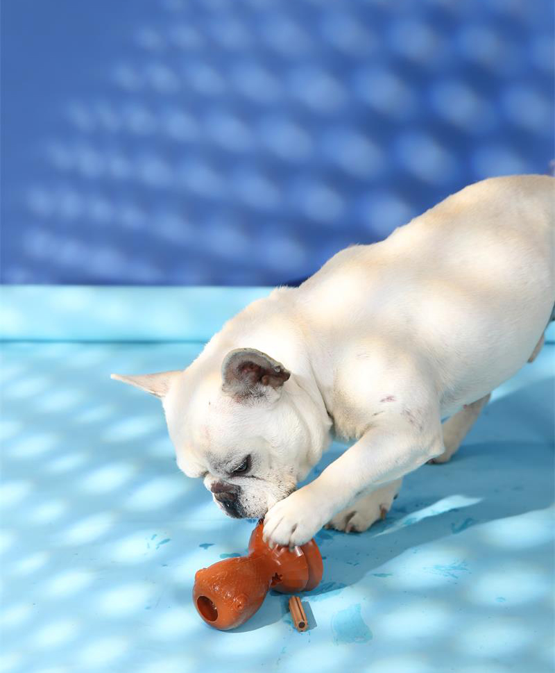 Оптовая продажа интерактивных игрушек для домашних животных в форме маленькой рыбки