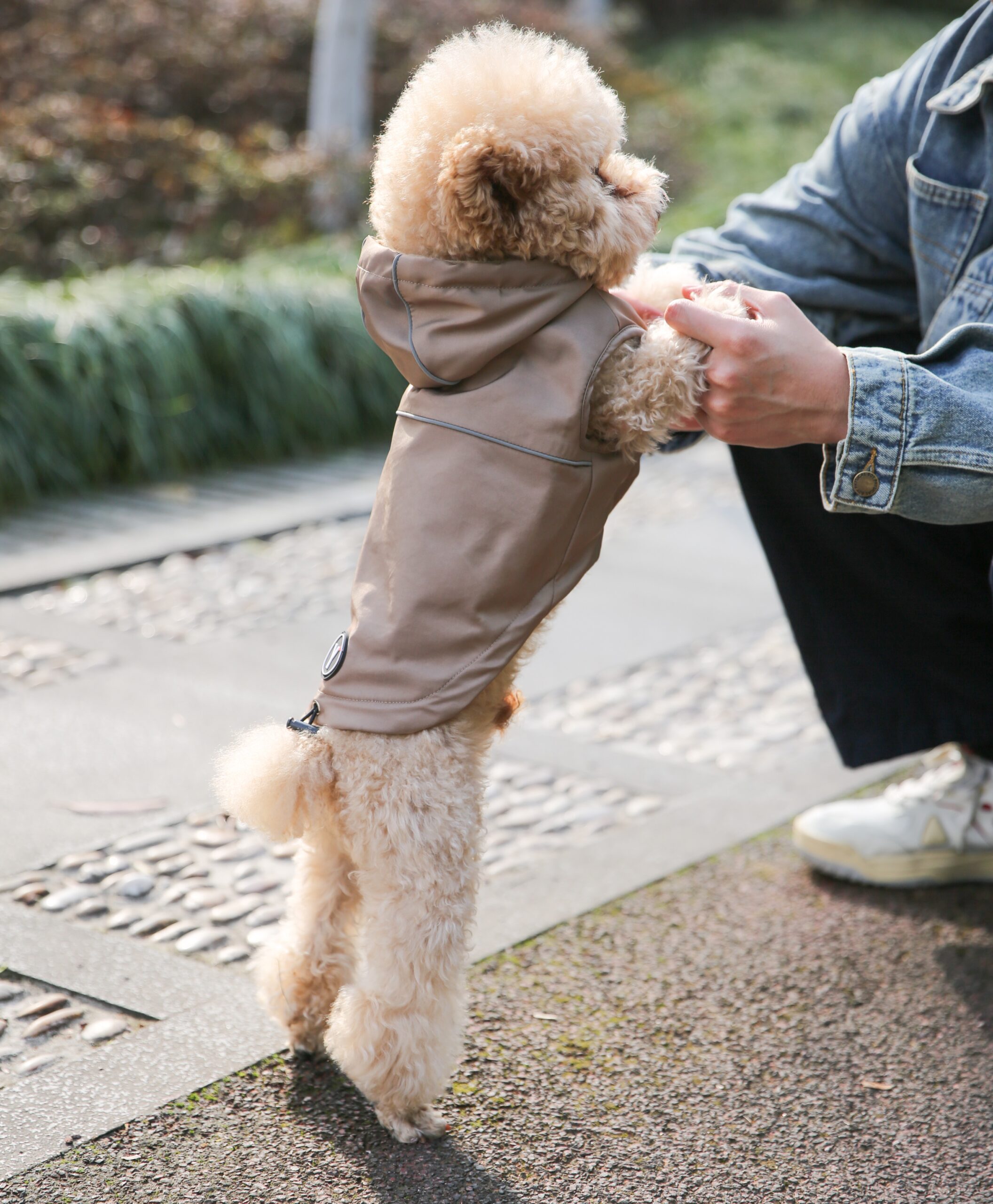 Светоотражающая куртка с капюшоном для домашних животных