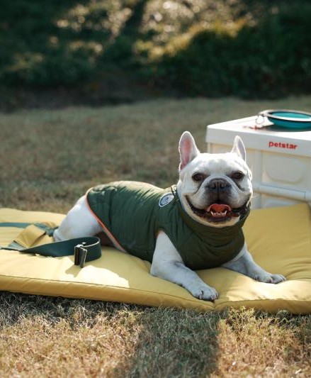 Теплая и удобная куртка для домашних животных