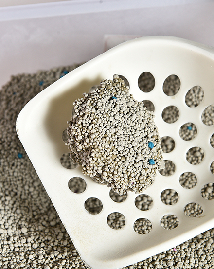 Высококачественный бентонитовый наполнитель для кошачьих туалетов