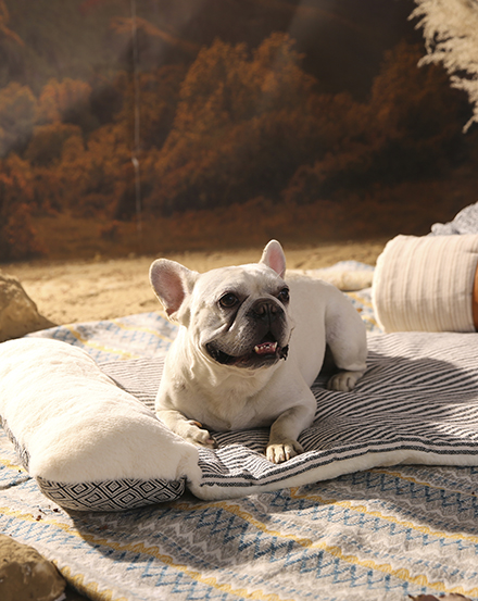 Многофункциональная складная лежанка для домашних животных