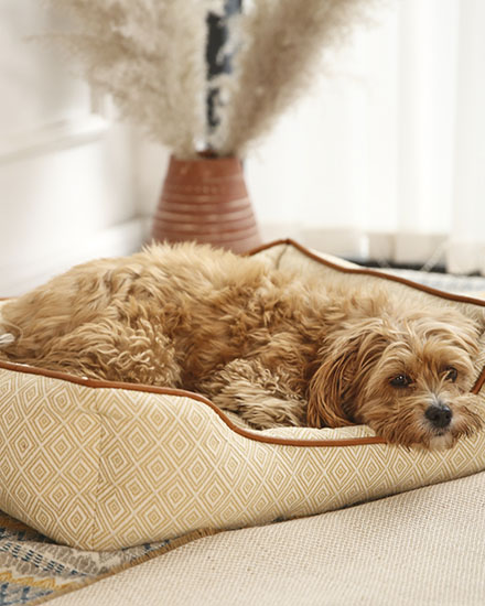 Толстая и прочная нескользящая подстилка для домашних животных