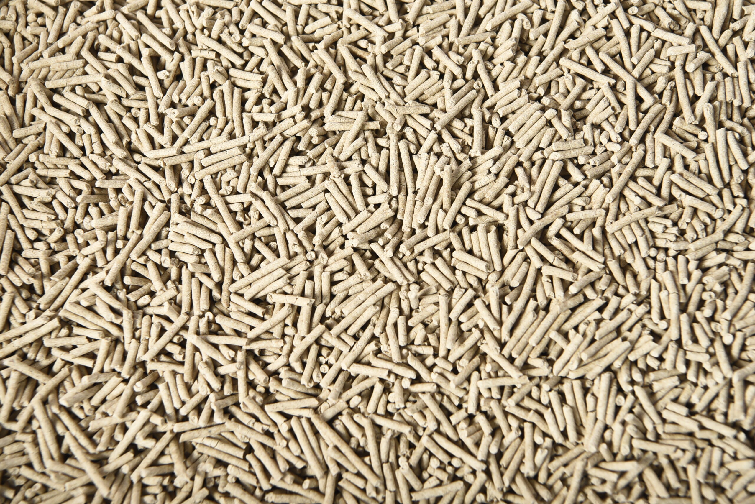 Подстилка для кошек из пшеничной соломы