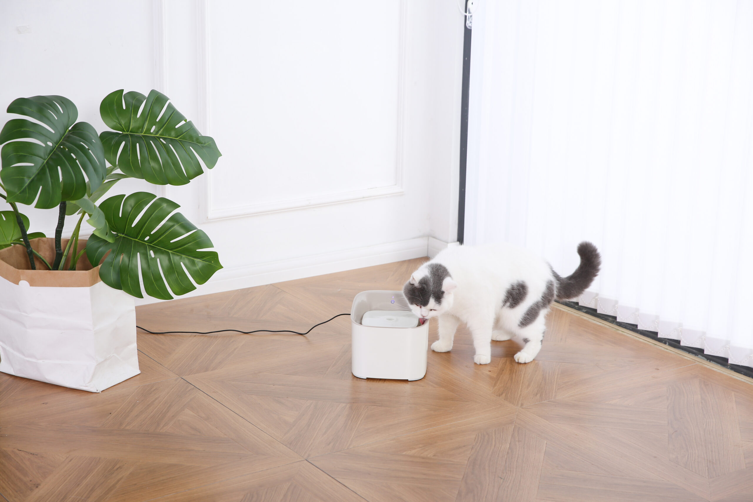 Умный питьевой фонтан для домашних животных