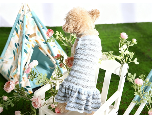 Бум на рынке одежды для домашних животных: возможность для B2B-ритейлеров