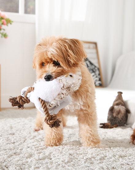 Реалистичная плюшевая игрушка для собак в форме совы