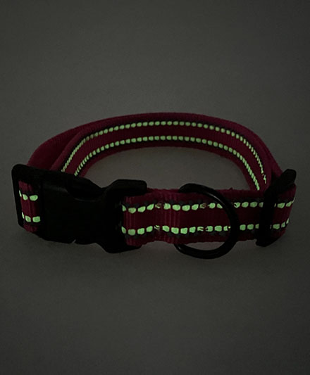 Светящийся ошейник для собак с отражающими элементами