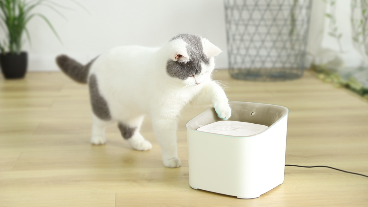 Умный питьевой фонтан для домашних животных