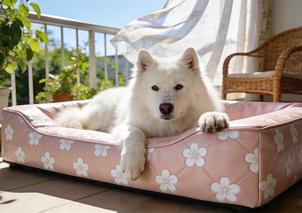 Что такое лежанка для собак из искусственной кожи?