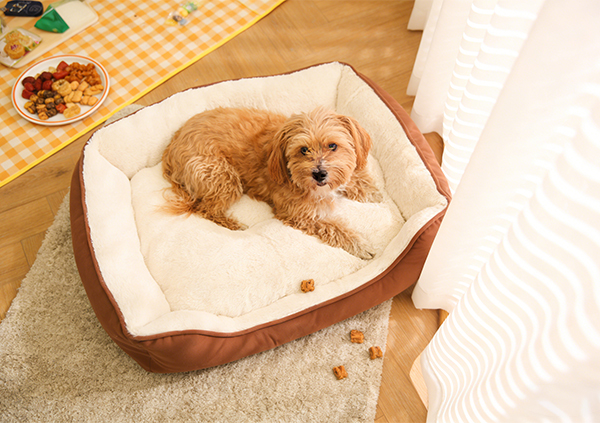 Как выбрать размер лежанки для собаки