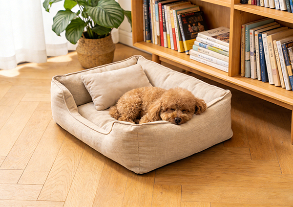 Искусственная кожа vs тканевые лежанки для собак