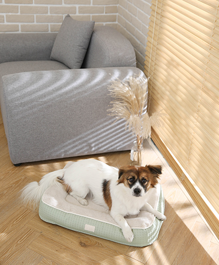 Комфортная кожаная лежанка для питомцев «Цветок» с непроседающей подушкой.