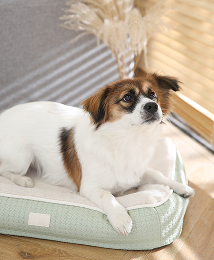 Комфортная кожаная лежанка для питомцев «Цветок» с непроседающей подушкой.