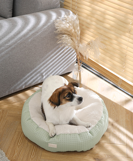 Небольшая круглая кроватка для питомцев, любимая собаками.