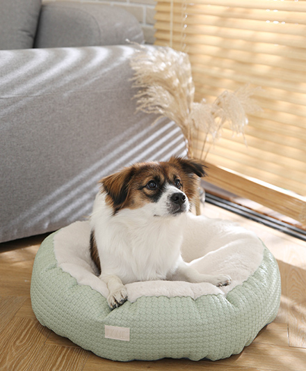Небольшая круглая кроватка для питомцев, любимая собаками.