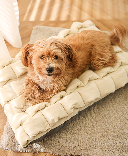 Премиум-кровать для собак в клетку в стиле Michelin