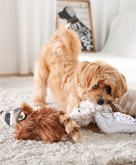 Прочная плюшевая игрушка для собак в виде красной панды с хрустящим хвостом и мягким наполнителем