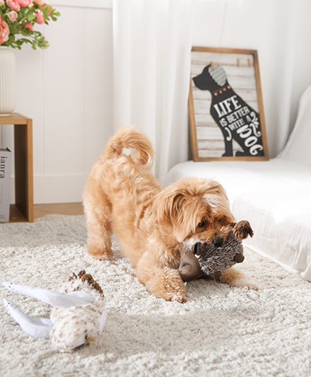 Интерактивная мягкая плюшевая игрушка для собак в виде дикого кабана