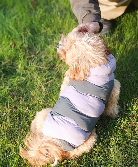 Пуховая зимняя куртка для собак