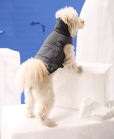 Лёгкая тёплая куртка для собак