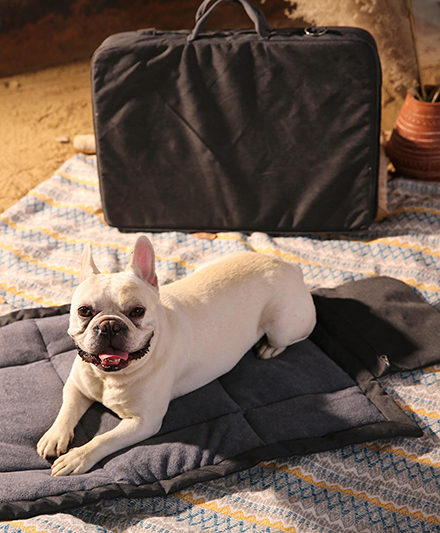 Премиальная экологичная уличная лежанка для собак