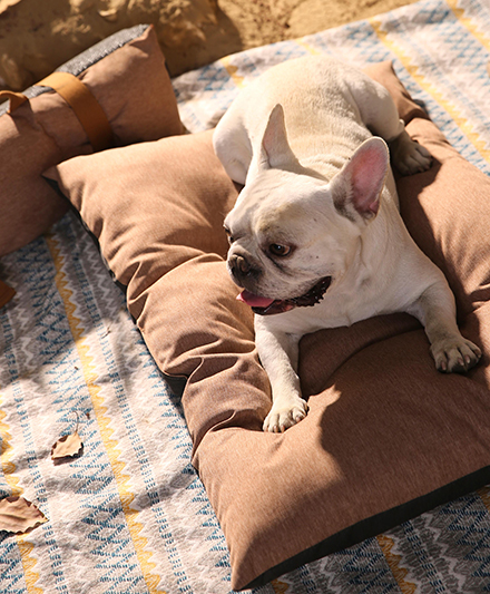 Экологичный уличный коврик для собак с ручкой для переноски и комфортным слоем из ПП-хлопка