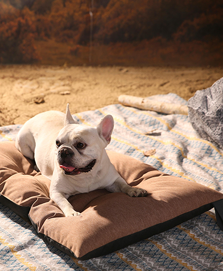 Экологичный уличный коврик для собак с ручкой для переноски и комфортным слоем из ПП-хлопка