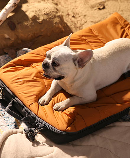 Портативный уличный коврик для собак с высокоплотной пеной для использования в любое время годах