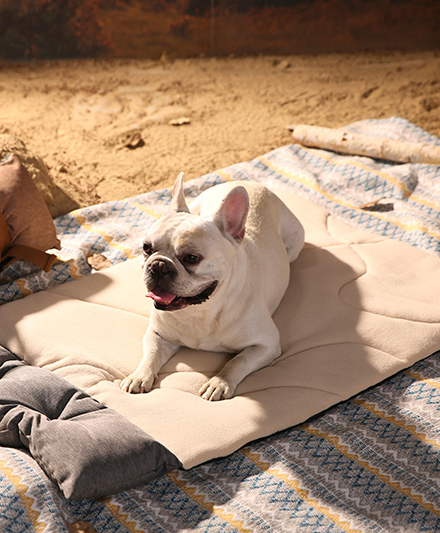 Водостойкий уличный коврик для собак с противоскользящим основанием