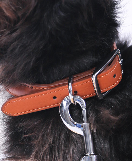 Экологичный поводок для собак из био-основной PU-кожи для оптовых поставок