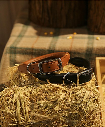 Экологичный поводок для собак из био-основной PU-кожи для оптовых поставок