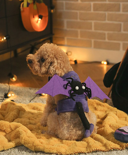 Поставщик оптовых партий высококачественных домиков-пещер для кошек на Хэллоуин