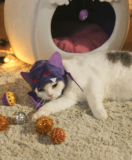 Головные уборы для домашних животных в виде летучих мышей к Хэллоуину от производителя