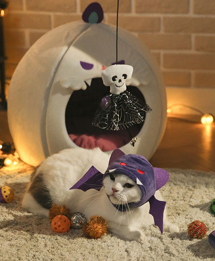 Головные уборы для домашних животных в виде летучих мышей к Хэллоуину от производителя