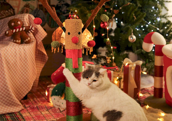 15 самых прибыльных товаров для домашних животных на Рождество для оптовой продажи в 2026 году