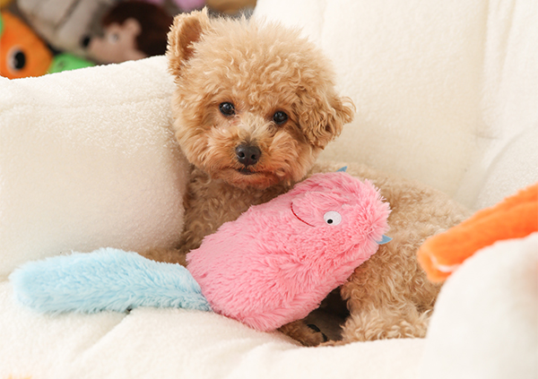 OEM/ODM Индивидуальные игрушки для кошек в виде монстров